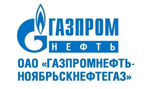 «Газпром нефть 2008»