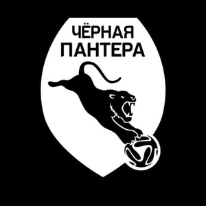 Черная пантера