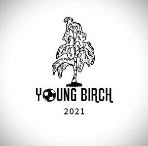 Young birch