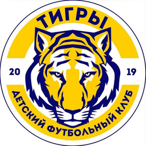 ЖФК Тигрицы-2014