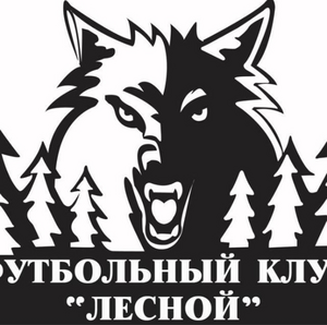 ФК Лесной 40+