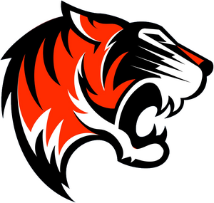 ICE TIGERS