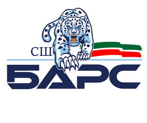 Барс