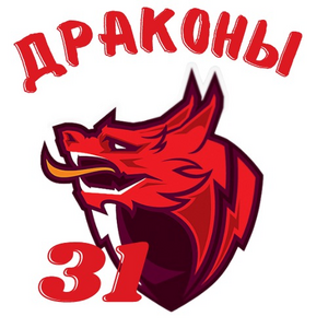 Драконы-СОШ №31