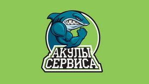 ”Акулы Сервиса”  (Римера-Сервис — Нижневартовск, Ноябрьск, Нягань, Бугуруслан, Краснодар)