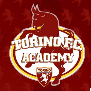 SPro Torino FC Academy 2011