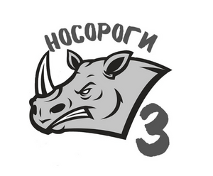 Носороги-СОШ №3