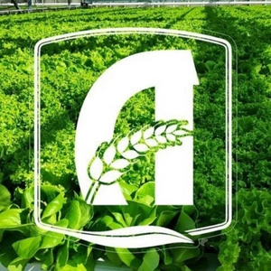 ФК АПК Алексеевский