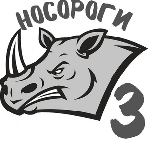 Носороги-СОШ №3