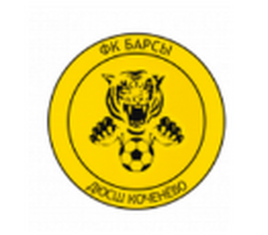 Барсы