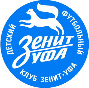 Зенит-Триумф