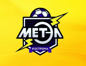 Футбольная команда «Метэл»