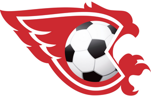 Сокол - СШ №1