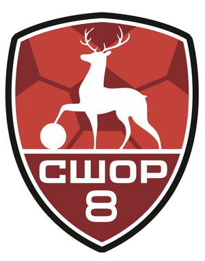СШОР-8-2010