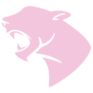 Fury