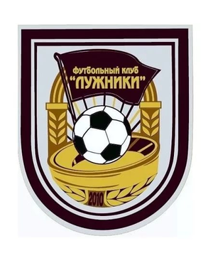 ФК "Лужники-2009"