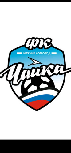 Чайка-2016-2
