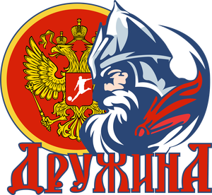 Дружина
