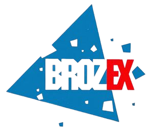 Brozex Лидер 2010