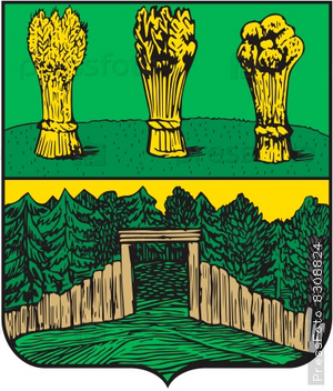 "Инсар"