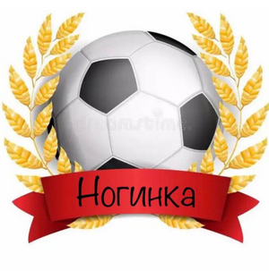 "Ногинка"