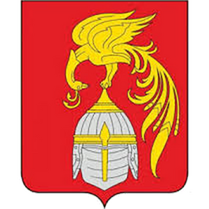 Футбольная команда «Южа»