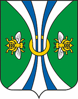 ФК "Сатинка"