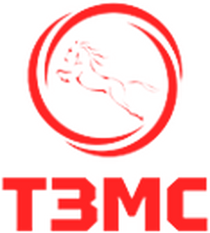 ТЗМС