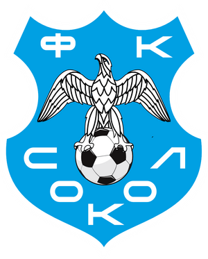 Сокол 2011