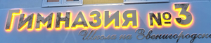 МАОУ "Гимназия № 3"