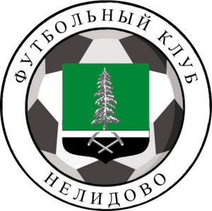 СШ Нелидово 2014
