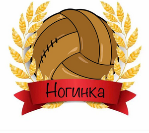 "Ногинка"