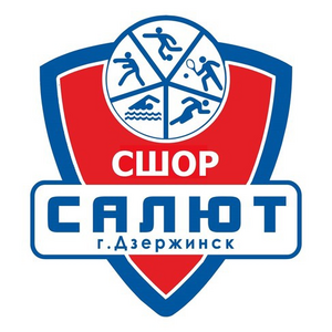 СШОР Салют-2010-2
