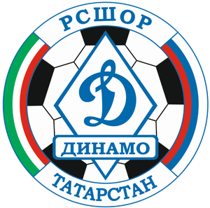 РСШОР Динамо 2014