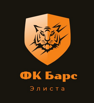 ФК "Барс"