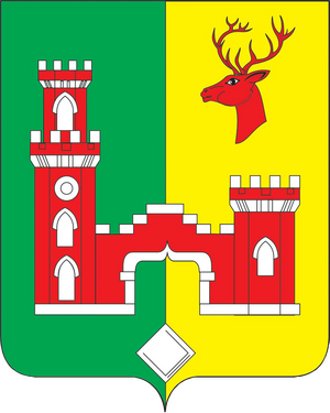 ДЮСШ Рамонь