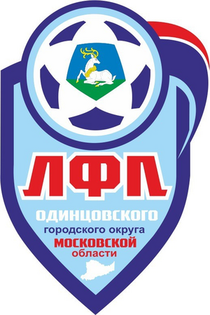 Одинцовский г.о. 