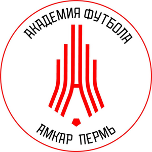 Академия-Амкар 2013