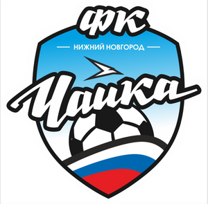 Чайка-2019