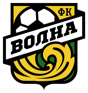 Волна-2008