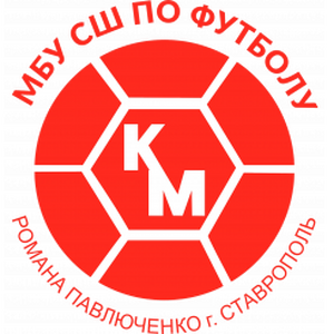 СШ Кожаный мяч