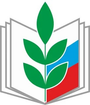 Образование