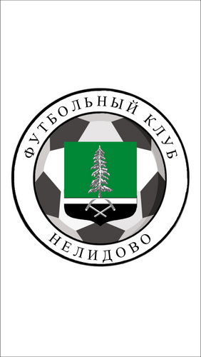 СШ Нелидово