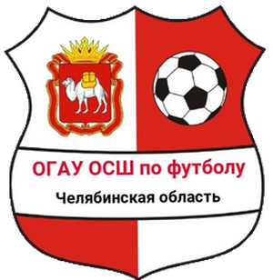 ОГАУ ДО ОСШ по футболу 2