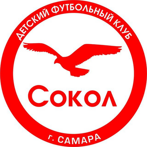 Сокол-2009