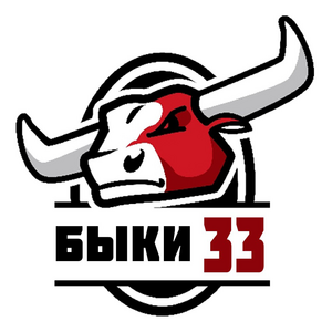 Быки-СОШ №33