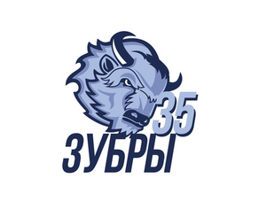 Зубры-СОШ №35