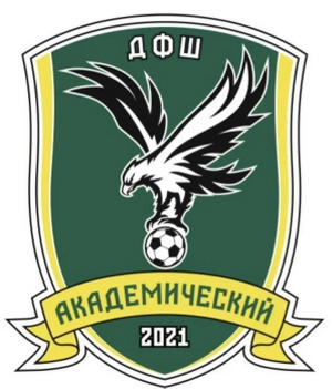 ДФШ "Академический-2014"