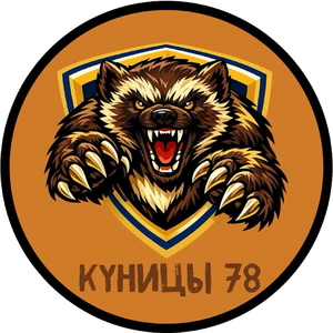 Куницы-Лицей №78