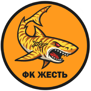 Жесть